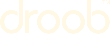 https://deliveryappdevelopment.com/wp-content/uploads/2023/06/droob-logo-big.png-bg